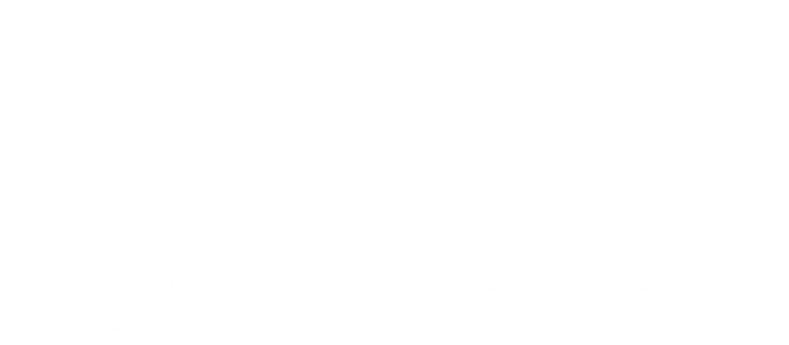 Diputació de Lleida